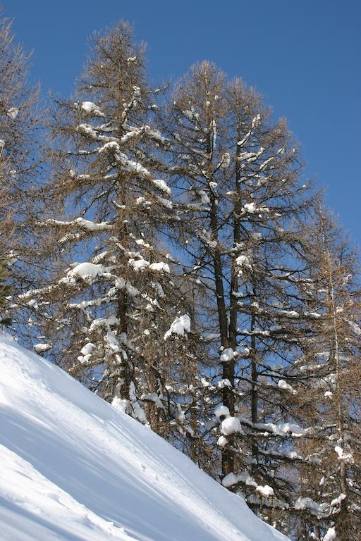 Madame Vacances Lodges Des Alpages La Plagne Εξωτερικό φωτογραφία